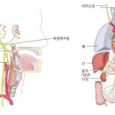 미래교육관 태권도장 이미지