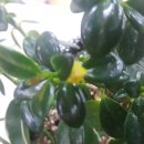 부평우체국 이미지