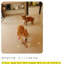 남산동물병원 이미지