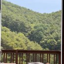 동강캐슬 이미지