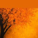 너참예쁘다 이미지