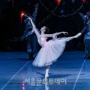 (공연) 국립발레단 <호두까기 인형> 이미지