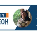 퍼펙트 마이펫 네이버블로그