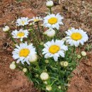 지전농장 이미지