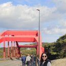 쓰시마섬여행 히타카츠항~부산항 이미지