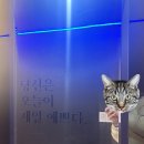 달려라토끼코인노래연습장 이미지