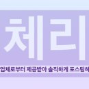 피에스엘 이미지