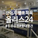 올리스24셀프목욕 | 대구 대명동 올리스 24 두류공원 강아지 대형견 셀프목욕 위탁목욕