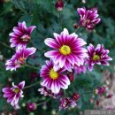 종만농장 이미지