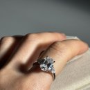 (주)우성사료 아산공장 | 아산 탕정 팬시컷 캐럿 다이아몬드 주문 제작 전문_ 공장 직영 르시엘 주얼리 아뜰리에