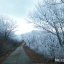 김진호행정사무소 이미지