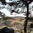 산너미목장 | 산너미목장 캠핑장 흑염소가 뛰노는 자연 속 캠핑 후기