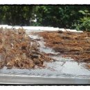 가천의대 내 이미지