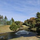 복수동로52번길 | 대전Par3골프클럽 방문 후기 ⛳| 복수동 파3 골프장 대전파3골프장