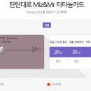 미즈미스터 이미지