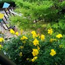 기리시마 이미지