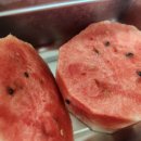 (주)이쓰리 이미지