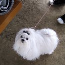 사랑카페 이미지