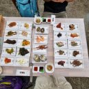 안도식당 이미지