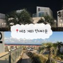 제주도파티게스트하우스틴더타운 이미지