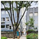 고운손길에스테틱 네이버블로그