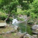 구운리 Daum카페