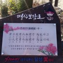 비슬산둘레길 1구간 이미지