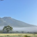 통도사 대웅전 및 금강계단 | 양산 통도사 극락암 메밀밭 후기: 부산 근교 여행 추천/ 꿀팁 탑재 / 인생 샷 가능; 데이트 코스 추천...