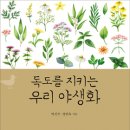 독도열쇠