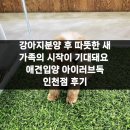 강아지분양 애견입양 아이러브독 인천점 | 강아지분양 후 따뜻한 새 가족의 시작이 기대돼요 애견입양 아이러브독 인천점 후기