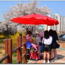 장수천* 이미지