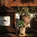 사각하늘 이미지