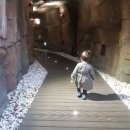 거제새둥지펜션 이미지