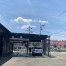 동두천 터틀 프렌즈 이미지