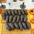 아이손원주 | 원주 애견동반카페 도즈오프 | 대형견도 맘껏 뛰어놀 수 있어요