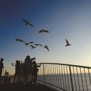 월미도 특화거리 이미지