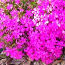 모악산주차장 이미지