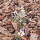 북암농장 이미지