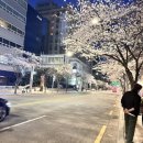 유에이치스위트 더강남 | UH 스위트 더 강남(거실에서반신욕가능)(방문후기)(어쩌다예약한숙소후기)(역시비싼게좋더라)(근데...