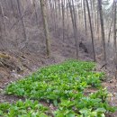 미래농장 이미지