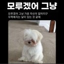 오월의 포동 | 먹을 복 있는 백수일기