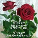 좋은친구 Daum카페