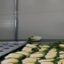 미소지은농장 이미지