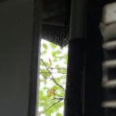 숙이농장 이미지