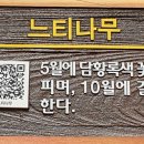 논현중앙근린공원 이미지