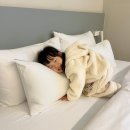 백설공주 팬션 | 담양 그라스풀빌라 리조트 키즈디럭스 아기랑 다녀온 내돈내산후기