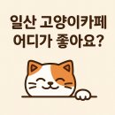 온가족 놀이터 | 일산 고양이 카페 추천