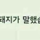 서초칼국수