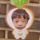 유아반＞＞K-푸드 김치데이2탄 '김치꼬마김밥'~ 이미지