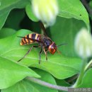 한종농장 이미지